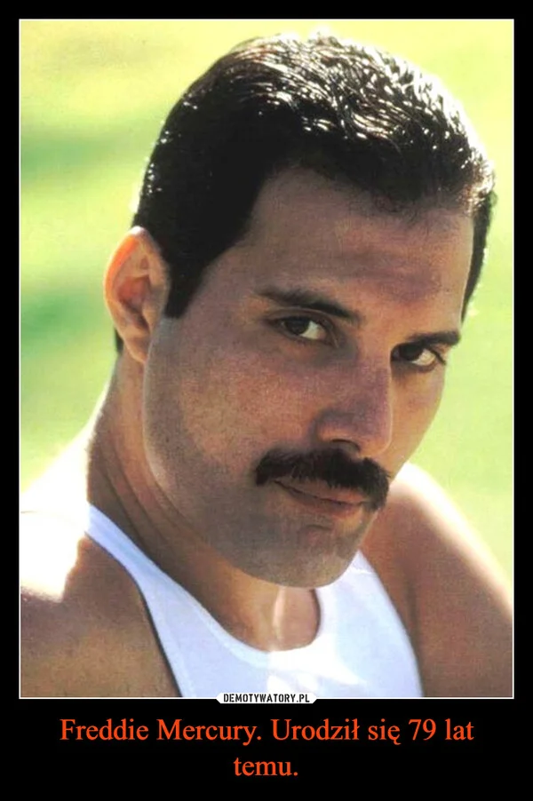 
    Freddie Mercury. Urodził się 79 lat temu.
