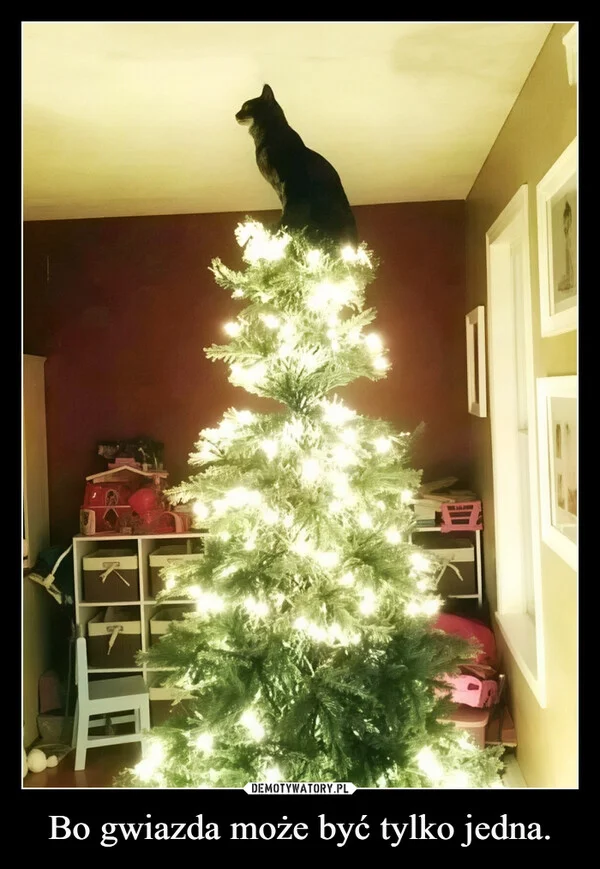 
    Bo gwiazda może być tylko jedna.