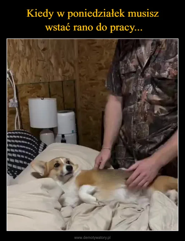 
    Kiedy w poniedziałek musisz wstać rano do pracy...