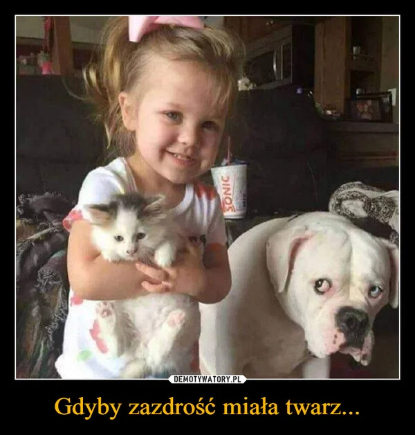 
    Gdyby zazdrość miała twarz...
