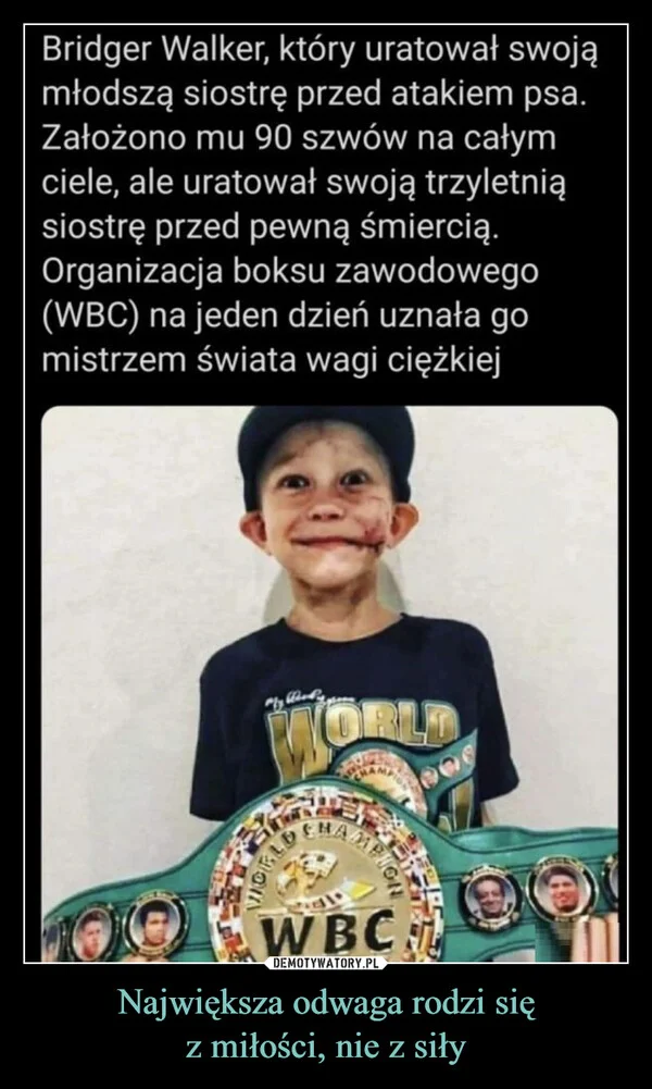 Największa odwaga rodzi się z miłości, nie z siły