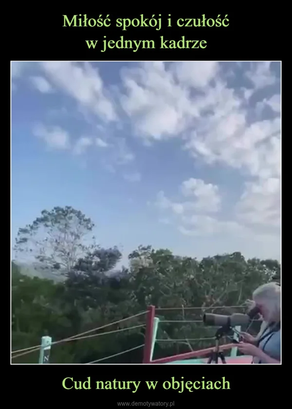 
    Miłość spokój i czułość w jednym kadrze Cud natury w objęciach