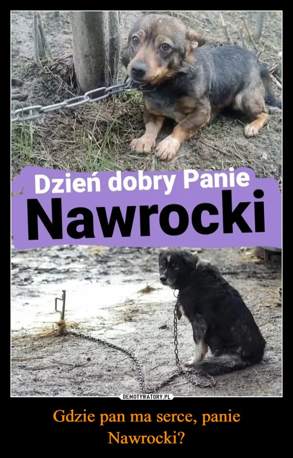 
    Gdzie pan ma serce, panie Nawrocki?