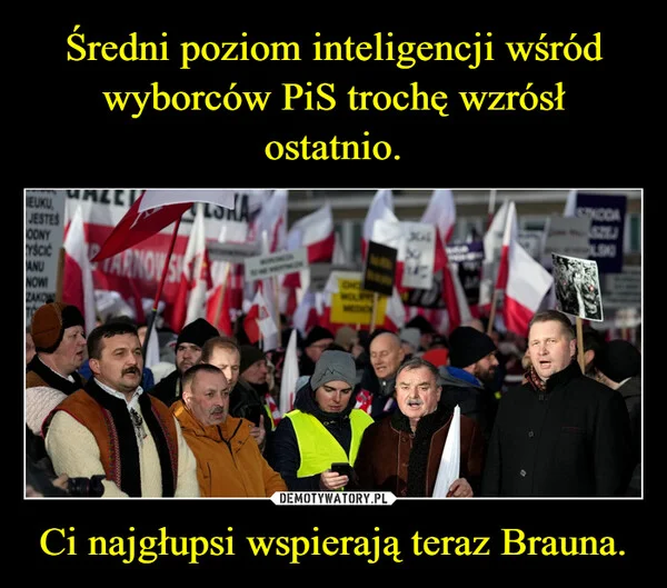 Średni poziom inteligencji wśród wyborców PiS trochę wzrósł ostatnio. Ci najgłupsi wspierają teraz Brauna.