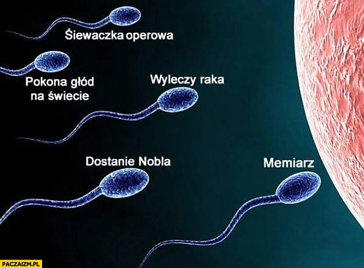 
    Wyścig plemników: śpiewaczka operowa, wyleczy raka, pokona głód, dostanie nobla, wygrywa memiarz