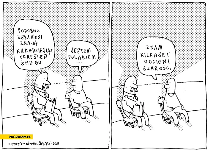 
    Jestem Polakiem znam kilkaset odcieni szarości