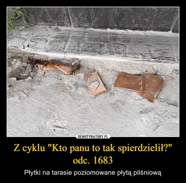 Z cyklu 