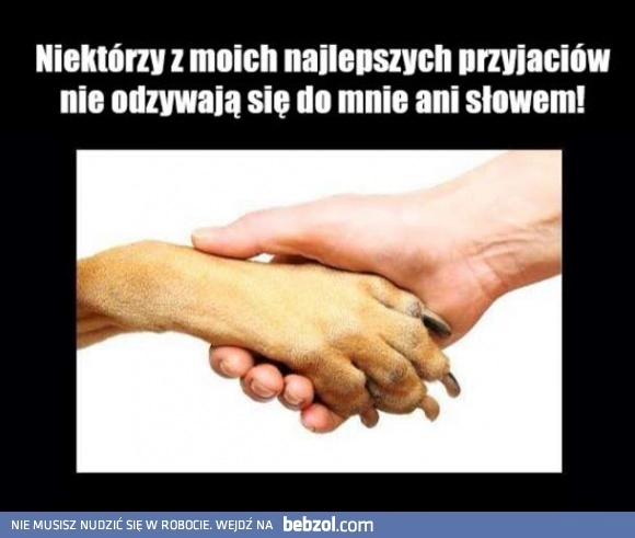 Najlepsi przyjaciele