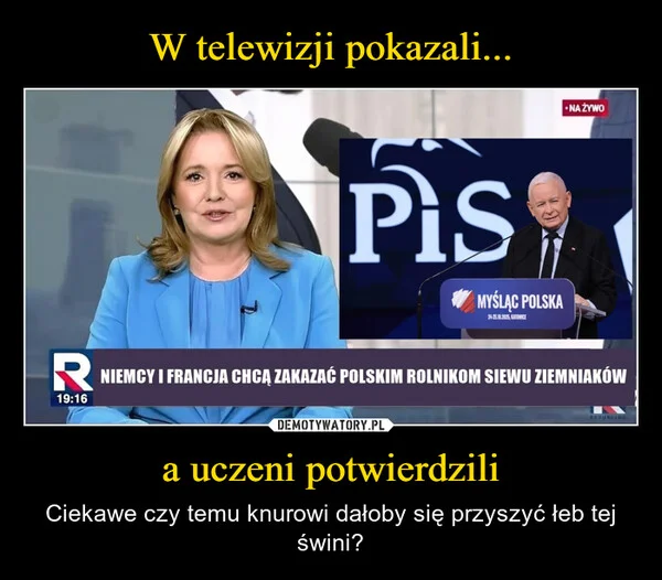 
    W telewizji pokazali... a uczeni potwierdzili