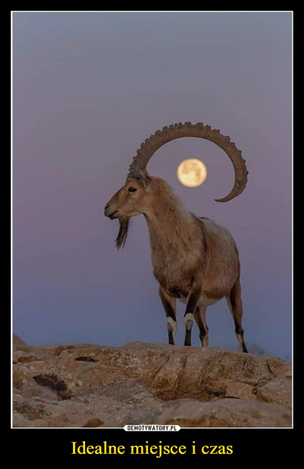 
    Idealne miejsce i czas