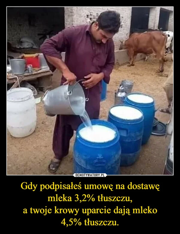 
    Gdy podpisałeś umowę na dostawę mleka 3,2% tłuszczu, a twoje krowy uparcie dają mleko 4,5% tłuszczu.