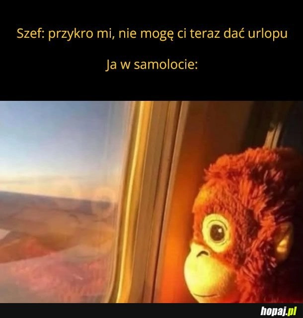Arrivederci