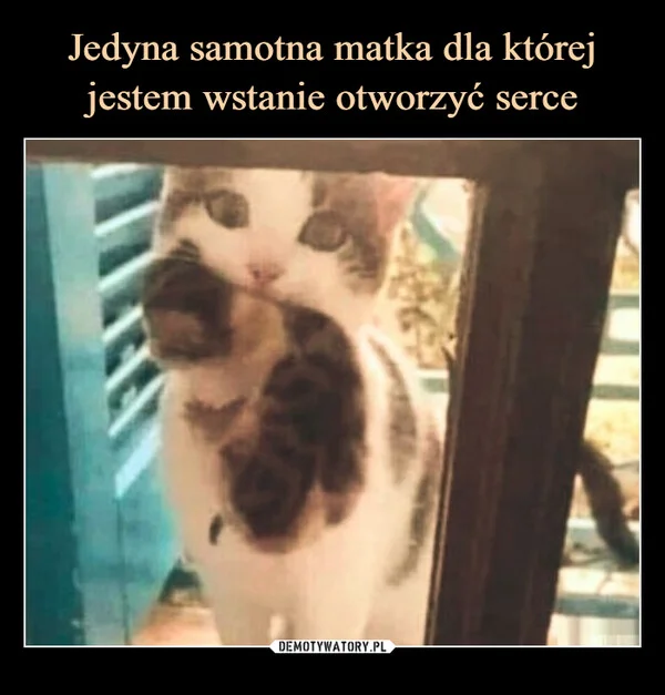 
    Jedyna samotna matka dla której jestem wstanie otworzyć serce