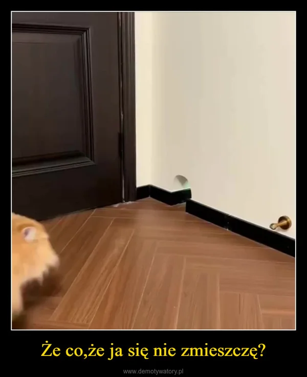 
    Że co,że ja się nie zmieszczę?