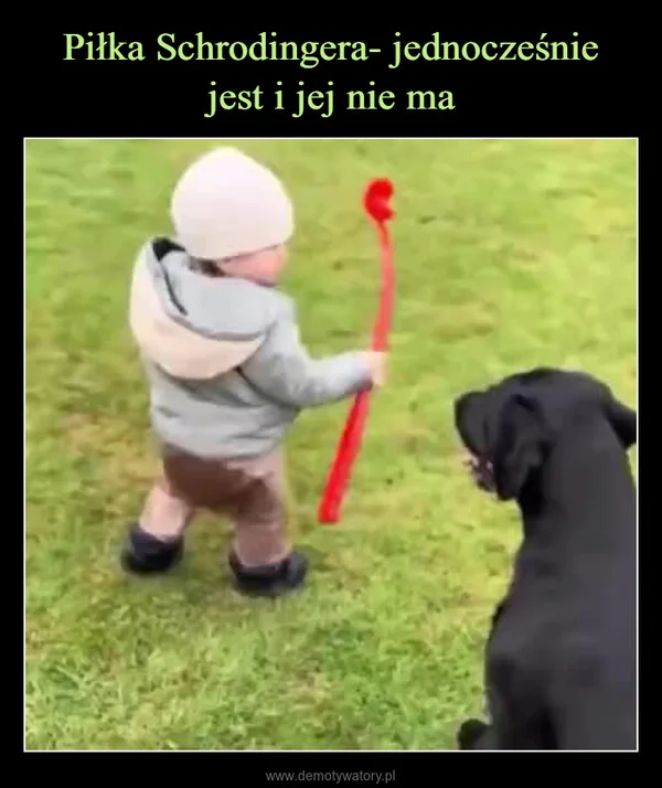 
    Piłka Schrodingera- jednocześnie jest i jej nie ma