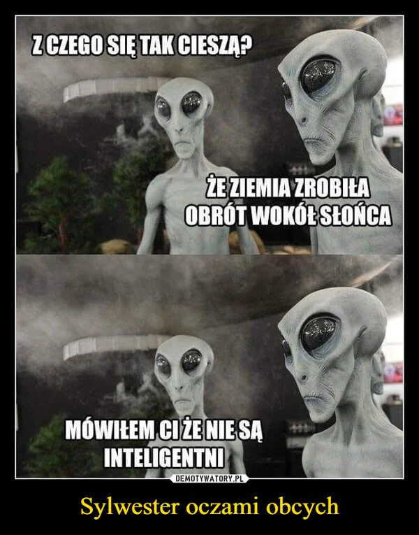 Sylwester oczami obcych