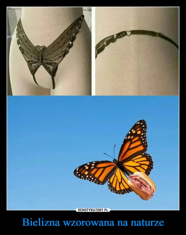 
    Bielizna wzorowana na naturze