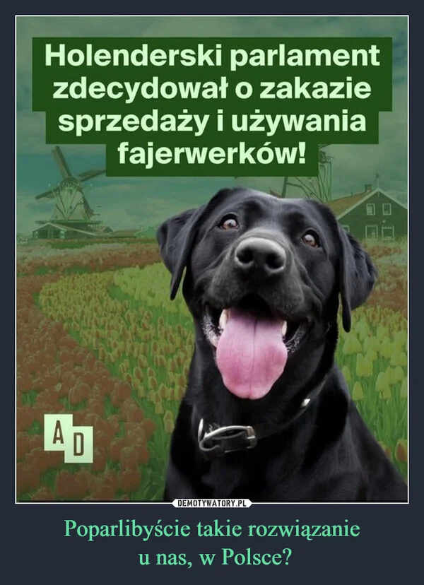 Poparlibyście takie rozwiązanie u nas, w Polsce?