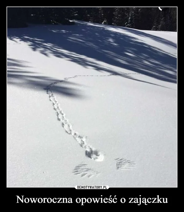 
    Noworoczna opowieść o zajączku