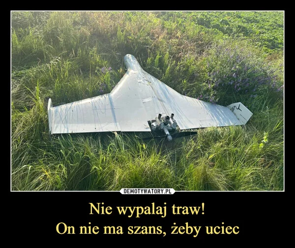 
    Nie wypalaj traw! On nie ma szans, żeby uciec