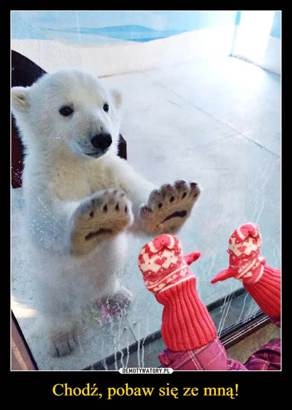 
    Chodź, pobaw się ze mną!