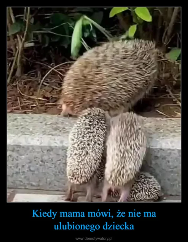 
    Kiedy mama mówi, że nie ma ulubionego dziecka