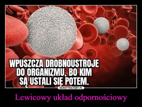 
    Lewicowy układ odpornościowy