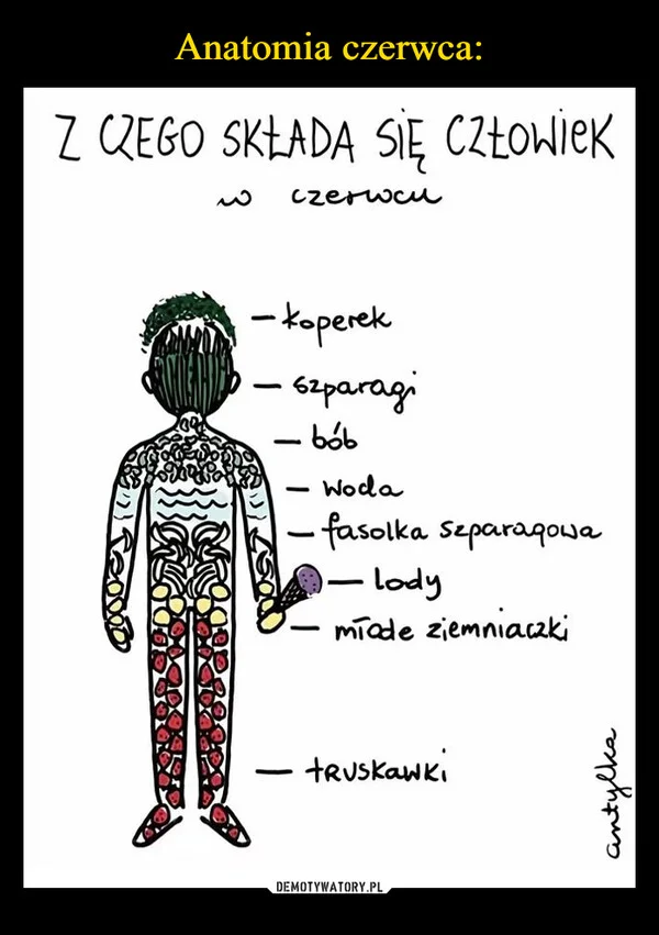 Anatomia czerwca: