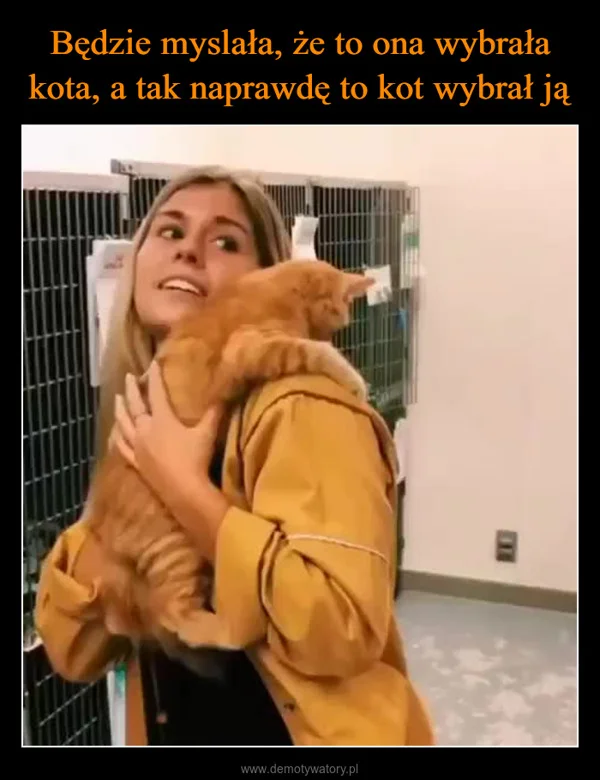 
    Będzie myslała, że to ona wybrała kota, a tak naprawdę to kot wybrał ją