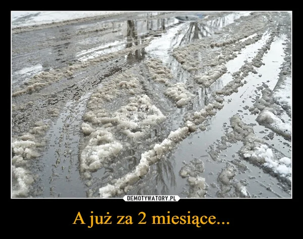 
    A już za 2 miesiące...