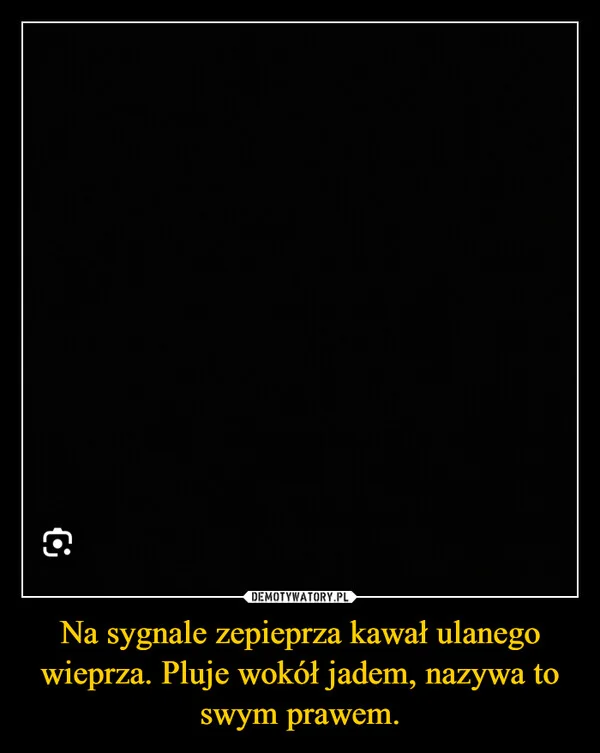 
    Na sygnale zepieprza kawał ulanego wieprza. Pluje wokół jadem, nazywa to swym prawem.