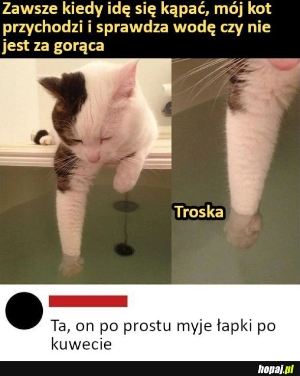 I łapki czyste xd