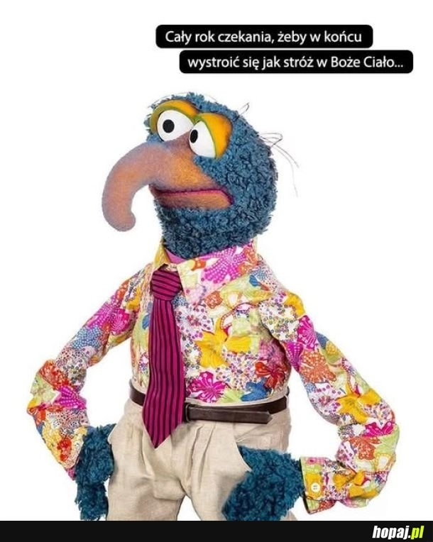 To ten dzień