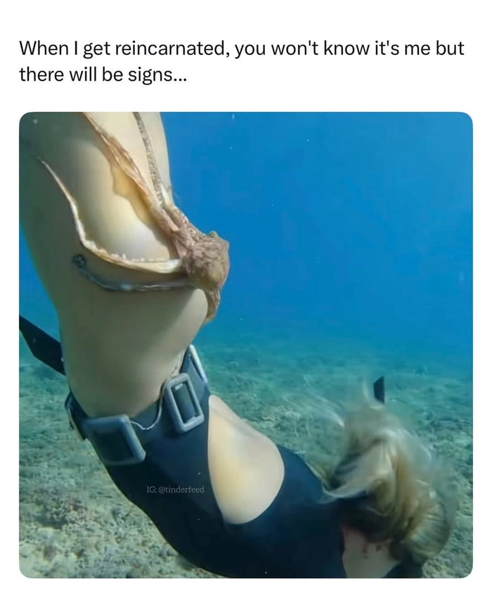 Signs of my next life