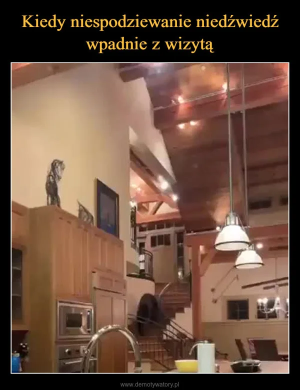 Kiedy niespodziewanie niedźwiedź wpadnie z wizytą