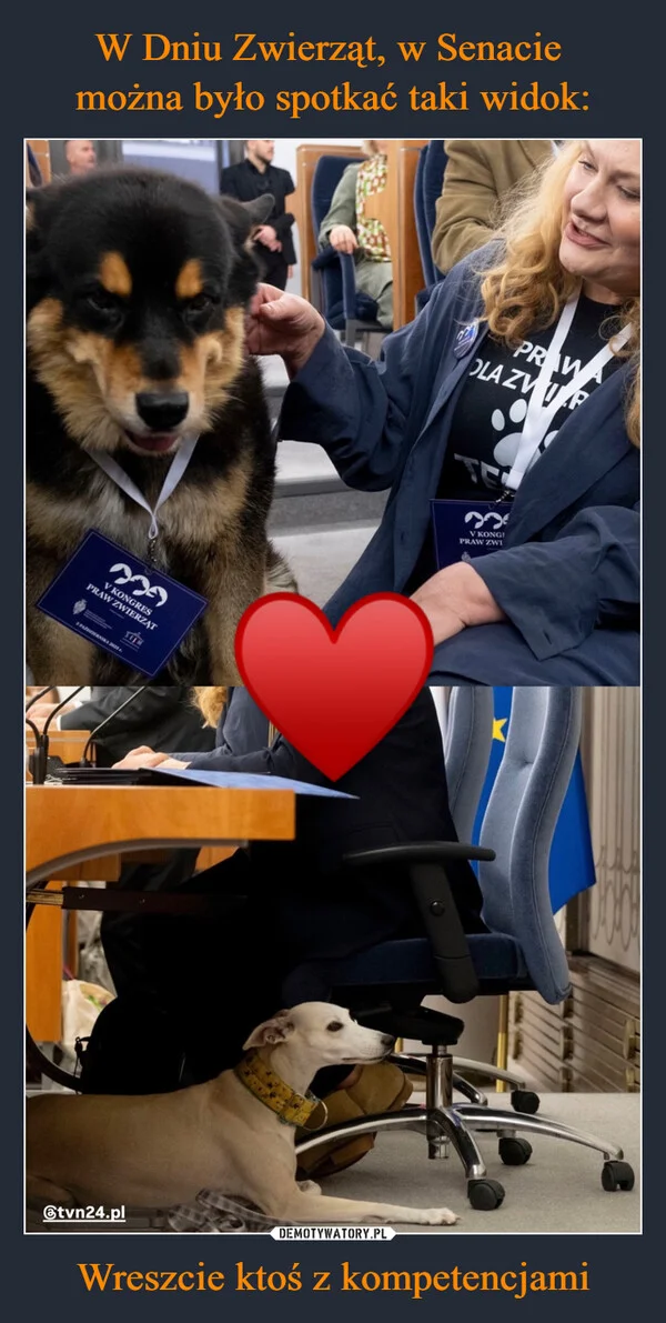 
    W Dniu Zwierząt, w Senacie można było spotkać taki widok: Wreszcie ktoś z kompetencjami