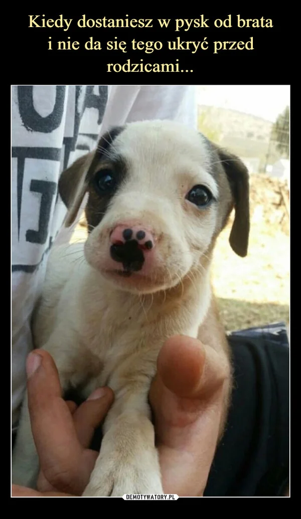 Kiedy dostaniesz w pysk od brata i nie da się tego ukryć przed rodzicami...