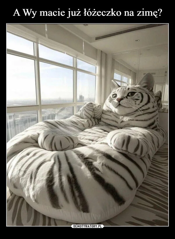 
    A Wy macie już łóżeczko na zimę?