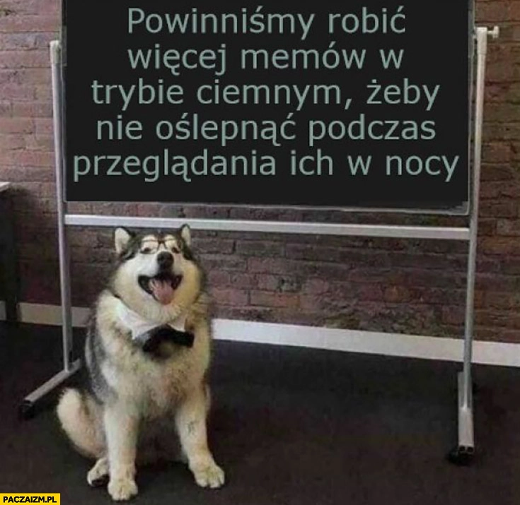 Powinniśmy robić więcej memów w trybie ciemnym żeby nie oślepnąć podczas oglądania ich w nocy pies pieseł