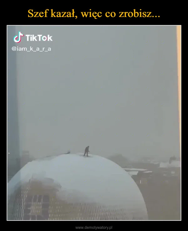Szef kazał, więc co zrobisz...