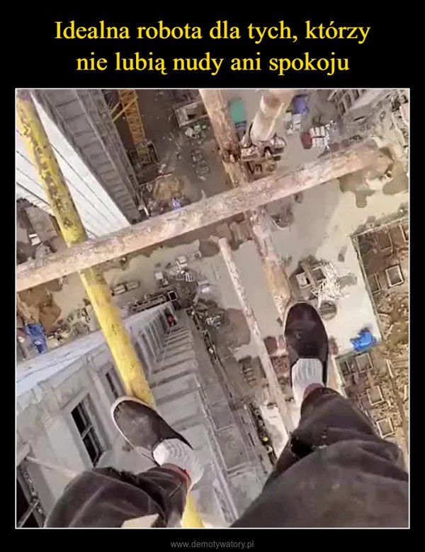 Idealna robota dla tych, którzy nie lubią nudy ani spokoju