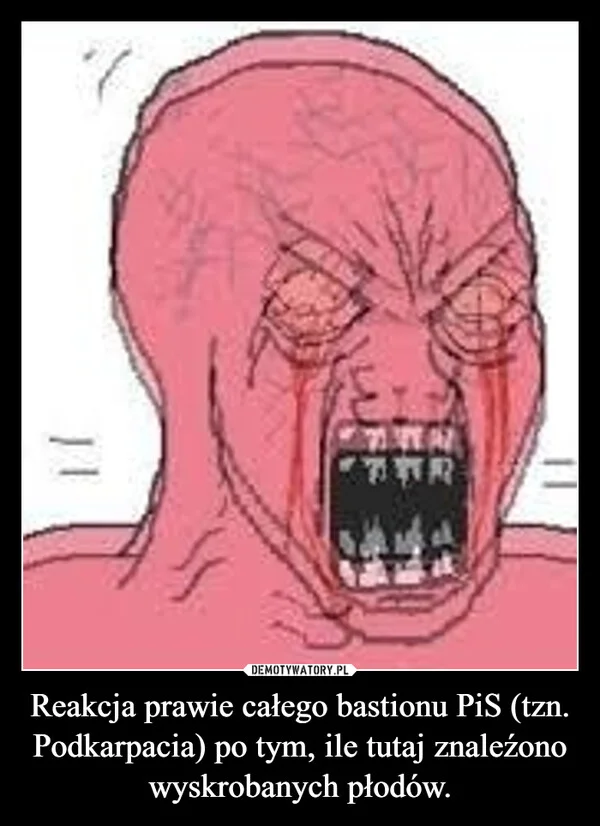 Reakcja prawie całego bastionu PiS (tzn. Podkarpacia) po tym, ile tutaj znaleźono wyskrobanych płodów.