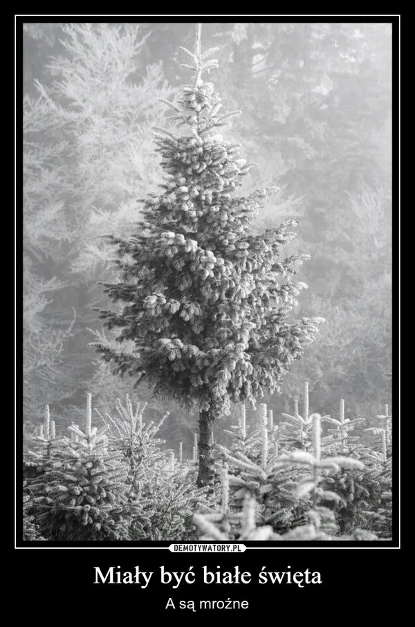 Miały być białe święta