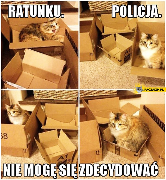 
    Ratunku policja