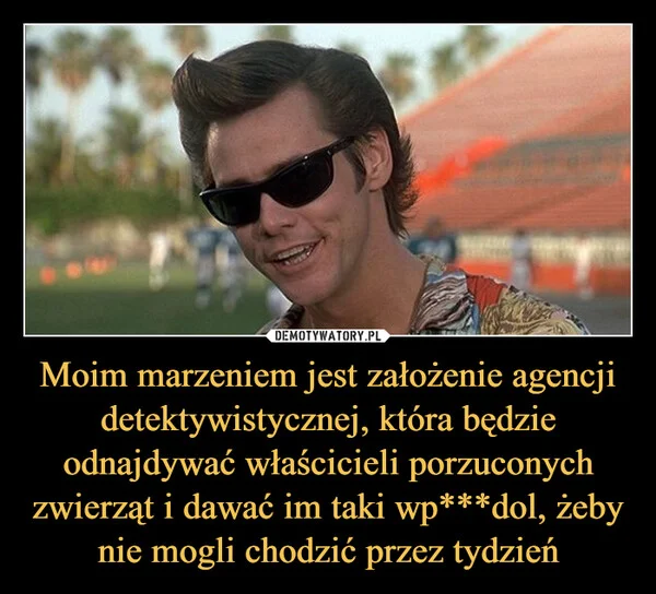 Moim marzeniem jest założenie agencji detektywistycznej, która będzie odnajdywać właścicieli porzuconych zwierząt i dawać im taki wp***dol, żeby nie mogli chodzić przez tydzień