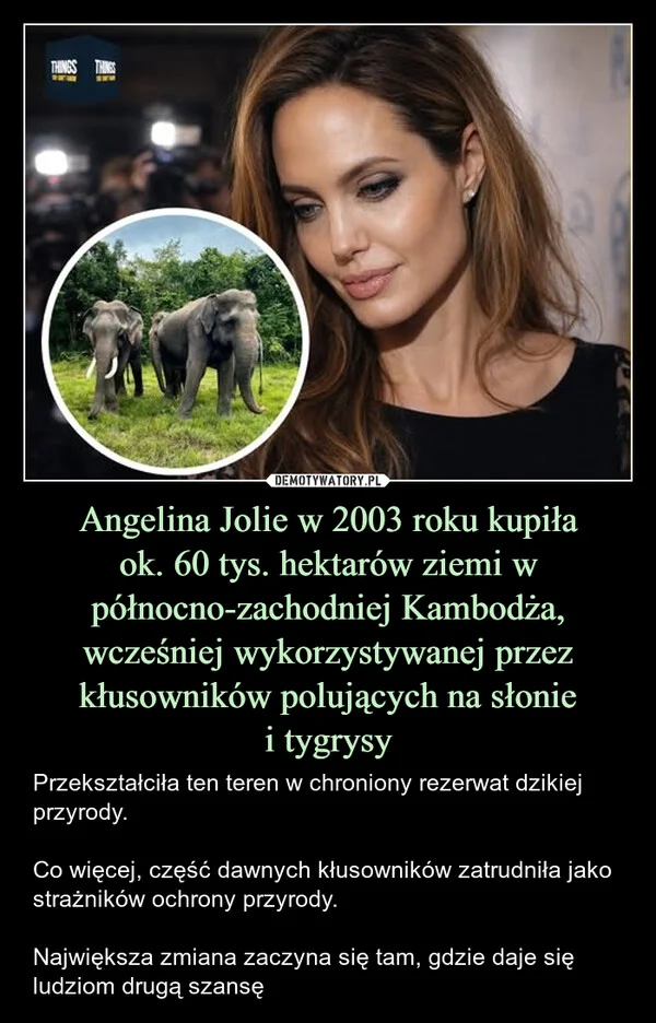 
    Angelina Jolie w 2003 roku kupiła ok. 60 tys. hektarów ziemi w północno-zachodniej Kambodża, wcześniej wykorzystywanej przez kłusowników polujących na słonie i tygrysy