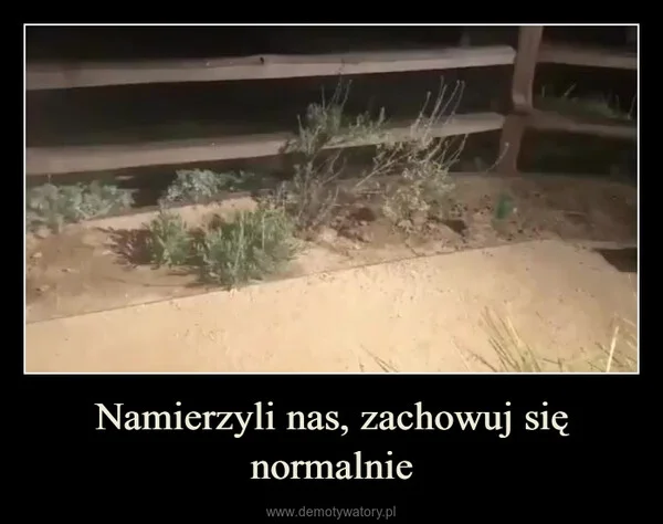 
    Namierzyli nas, zachowuj się normalnie