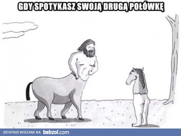 
    Spotkać drugą połówkę