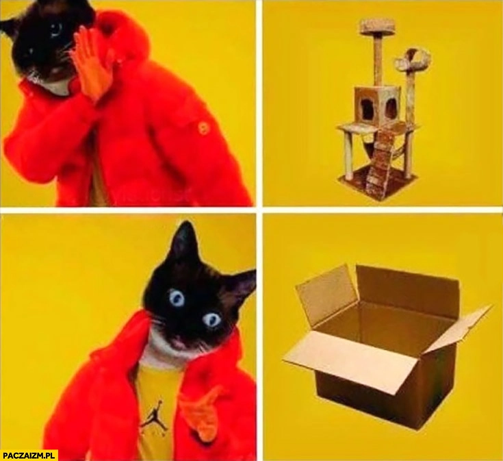 
    Kot nie chce domku zabawki dla kotów woli pudełko Drake