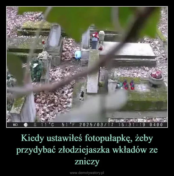 Kiedy ustawiłeś fotopułapkę, żeby przydybać złodziejaszka wkładów ze zniczy